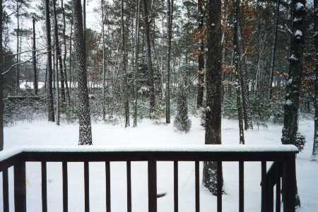 Their backyard